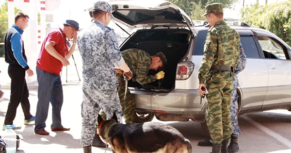 Snimok ekrana 2019 01 24 v 19.43.35 1200x630