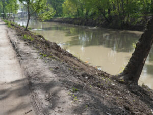 БЧК благоустроят